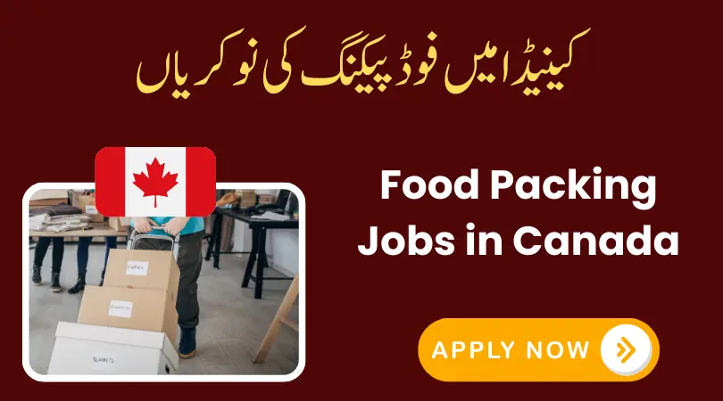 Food Packing Jobs in Canada 2026: Salary, Requirements, Visa Process & How to Apply