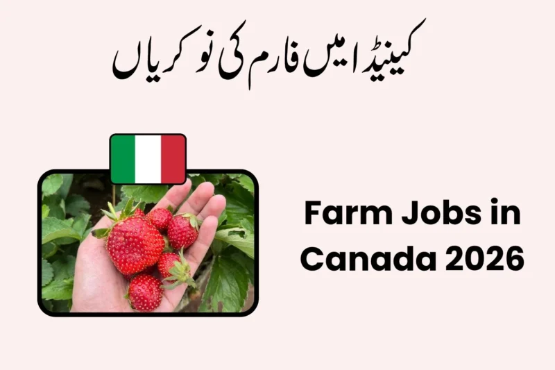 Farm Jobs in Canada 2026 – Earn CAD $2,800–$5,000 Monthly with Visa Sponsorship