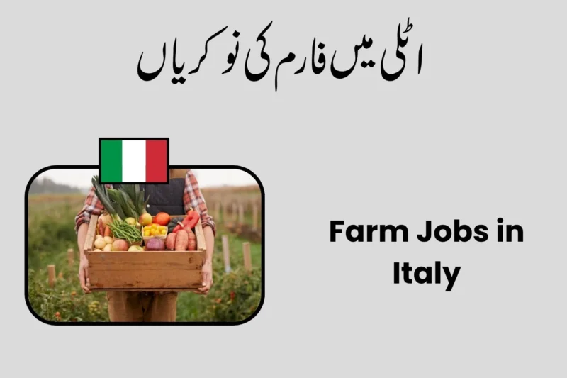 Farm Jobs in Italy