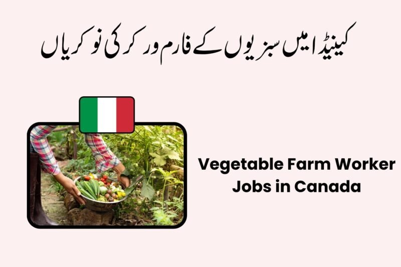 Vegetable Farm Worker Jobs in Canada 2026
