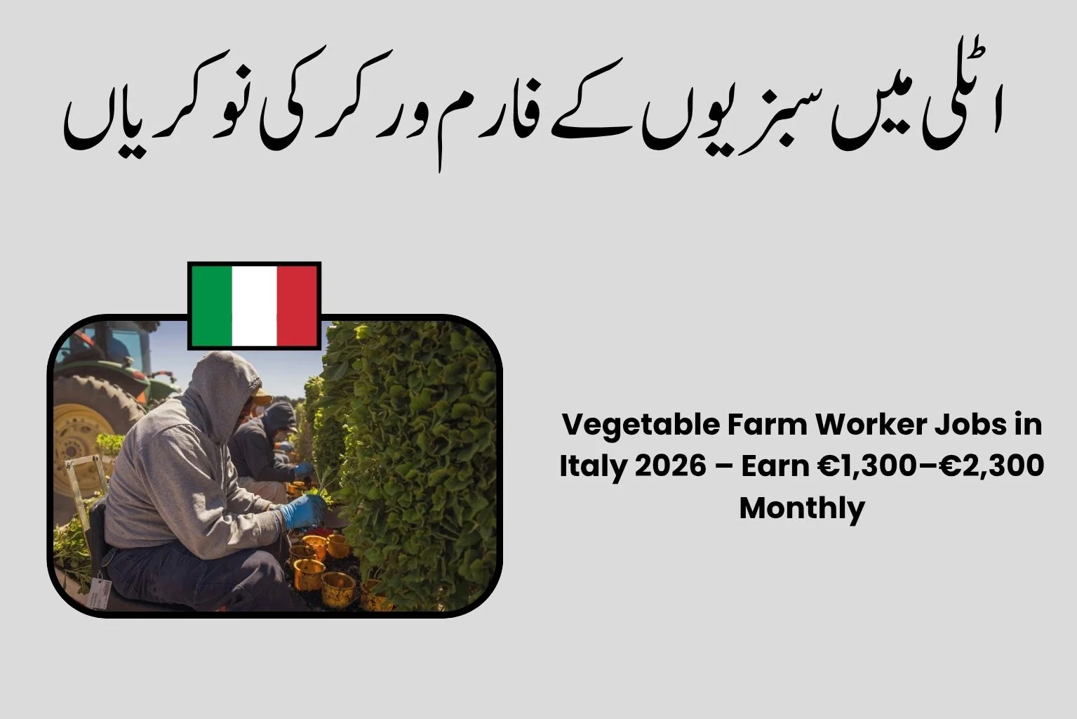 Vegetable Farm Worker Jobs in Italy 2026 – Earn €1,300–€2,300 Monthly