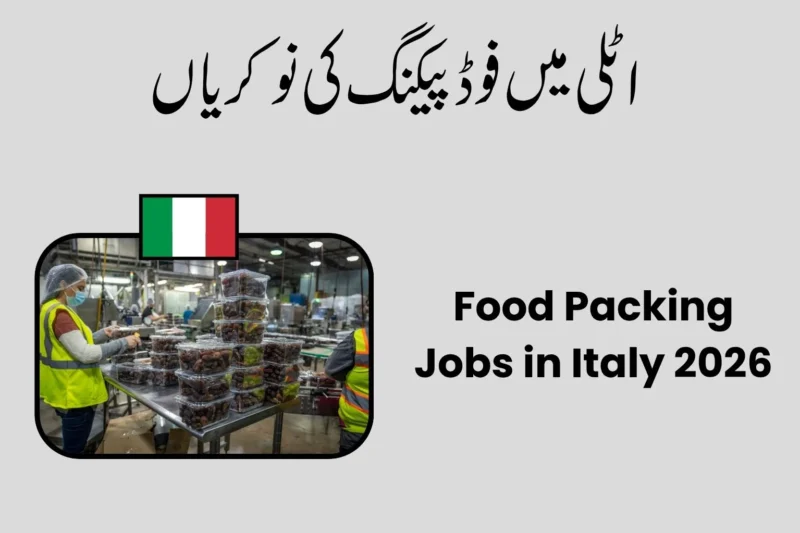 Food Packing Jobs in Italy 2026